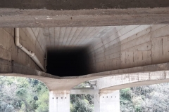 Viadotto-Bisagno-A12-Genova-Sestri-Levante-ASPI-2