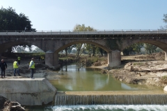 DJI_0972
