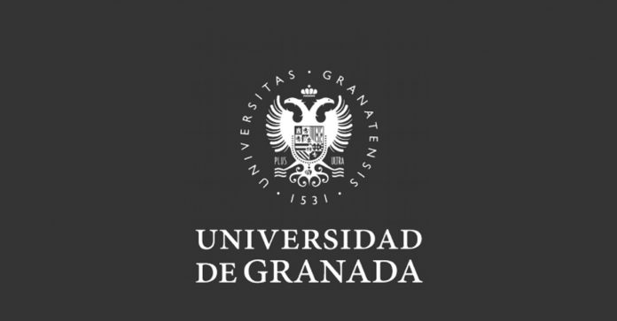 Università di Granada, The role of SHM in the risk assessment process of ageing bridges